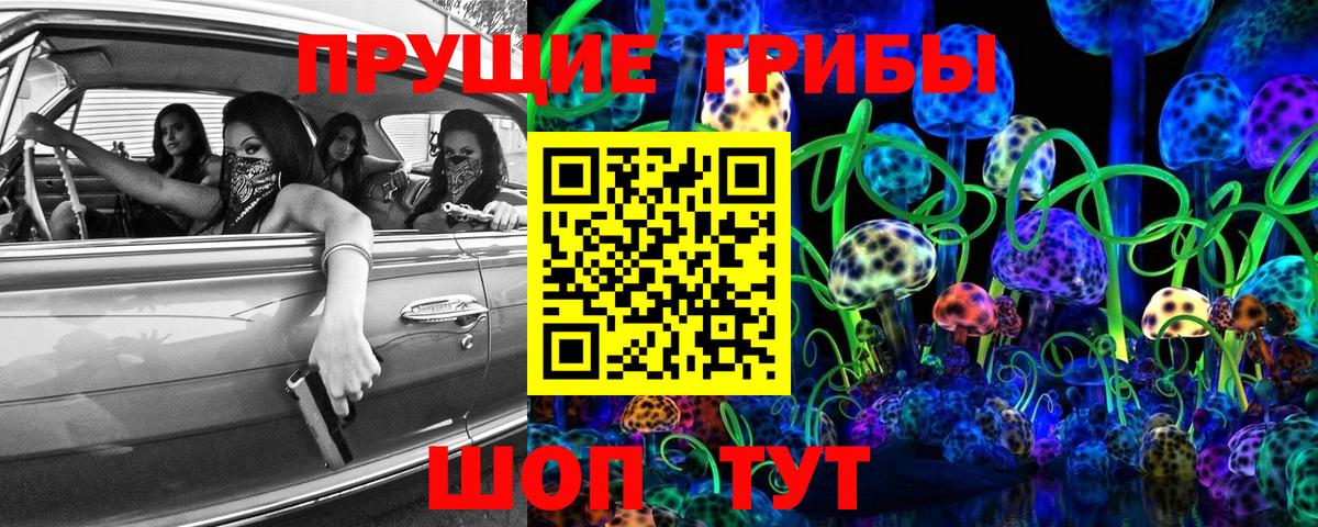 Вологда  Галлюциногенные грибы прущие грибы  Вход с VPN 