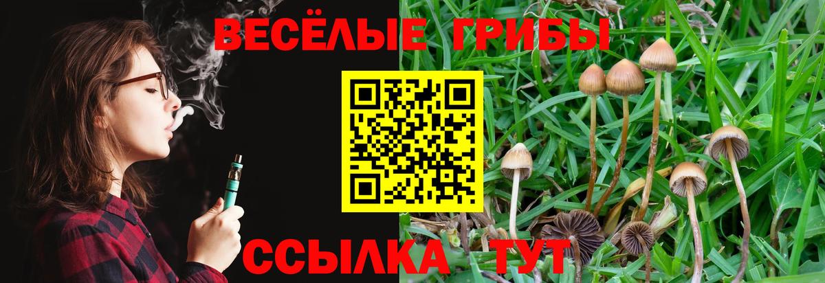 Галлюциногенные грибы Psilocybine cubensis Вологда